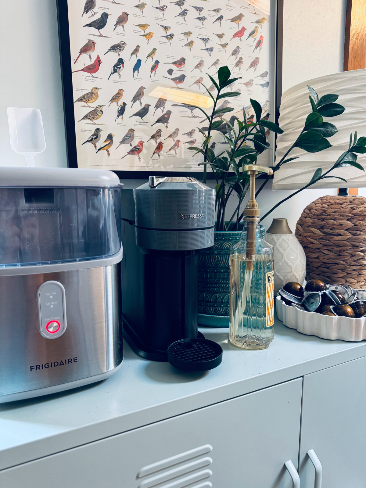 coffee station on metal cabinet with plant, lamp and bird poster in background.