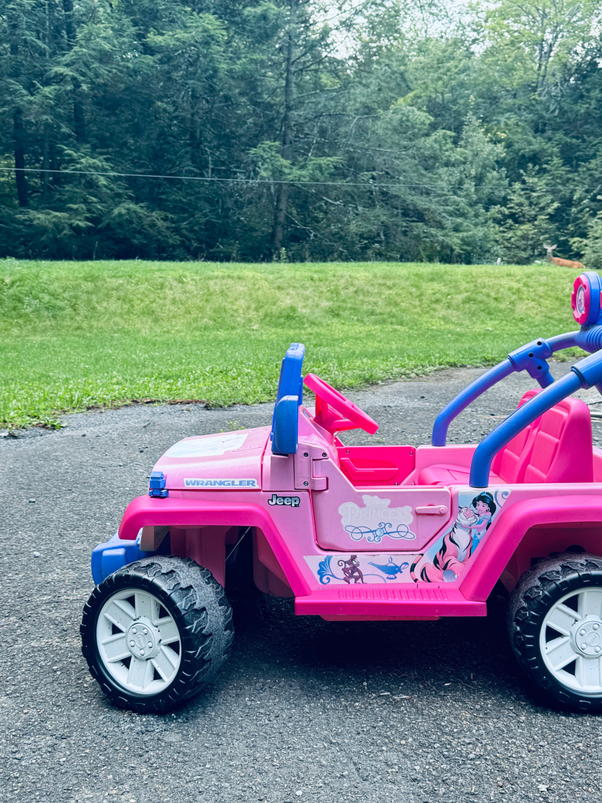 outgrown pink Disney princess car.
